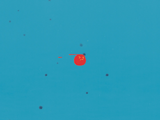 GIF-EPZ-